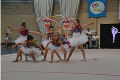 Exhibicion club ritmica Alfaro junio 18 504