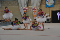 Exhibicion club ritmica Alfaro junio 18 505