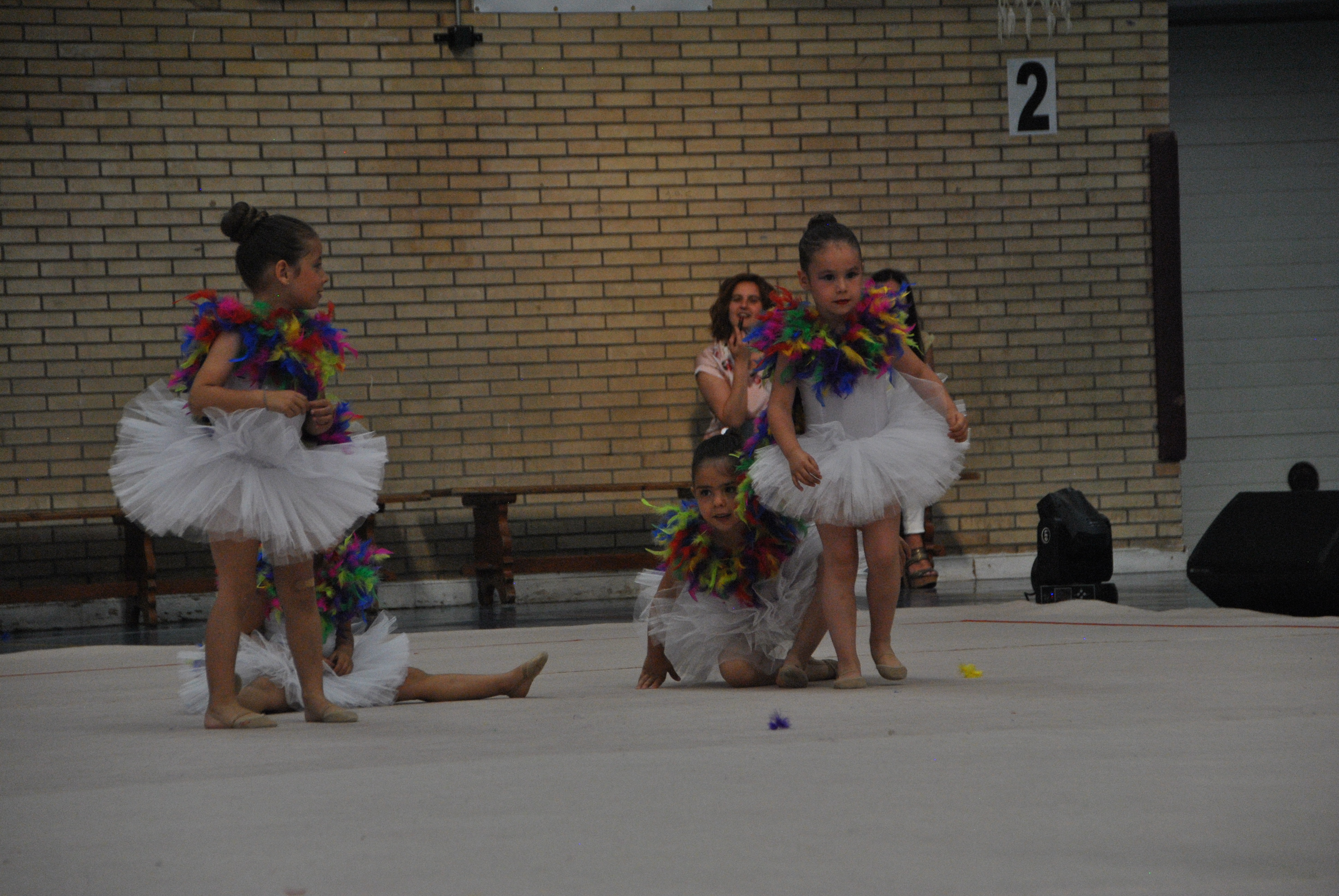 Exhibicion club ritmica Alfaro junio 18 506