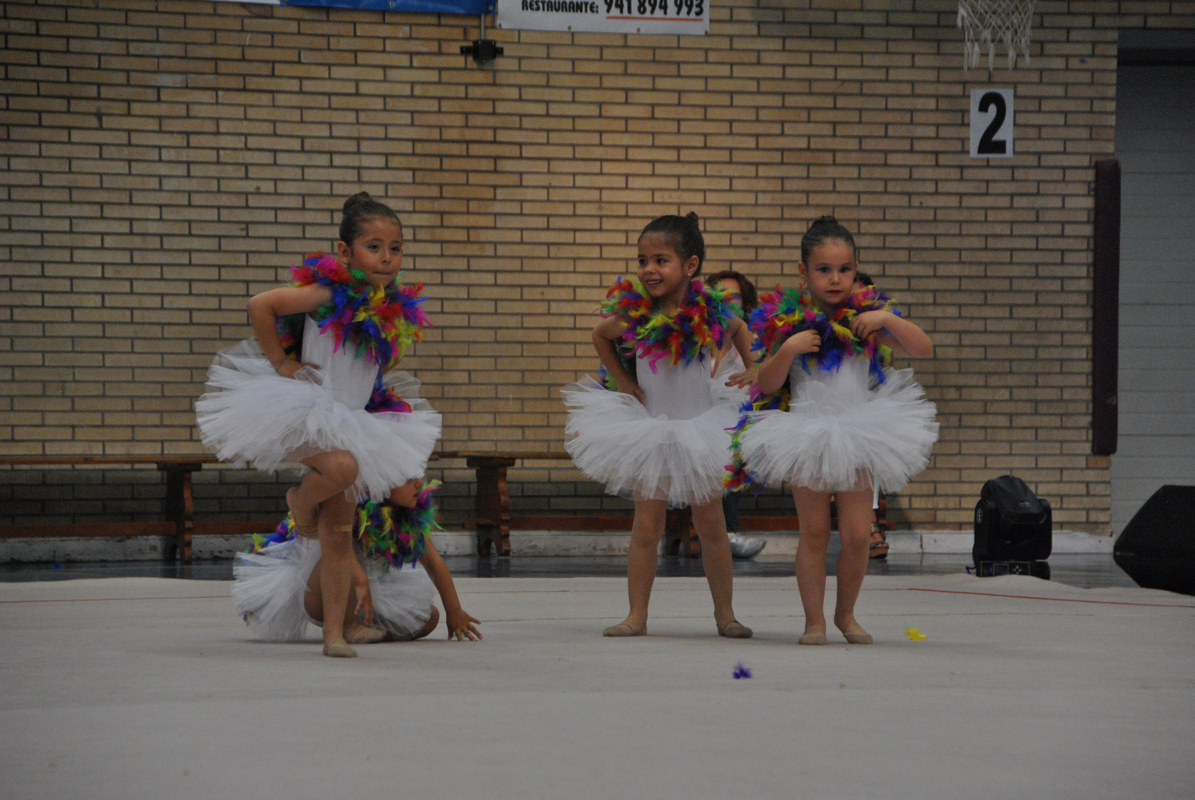 Exhibicion club ritmica Alfaro junio 18 507