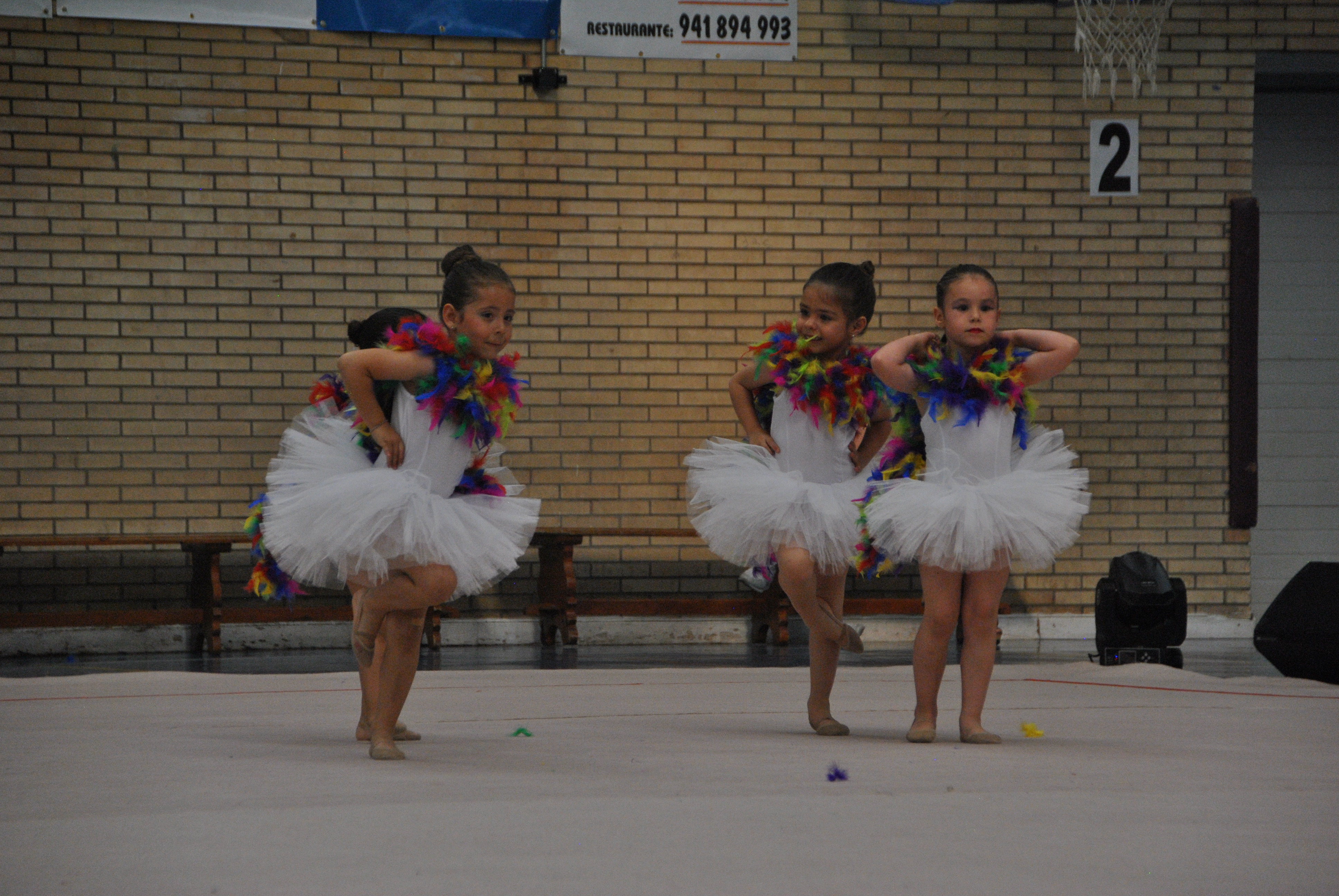 Exhibicion club ritmica Alfaro junio 18 508