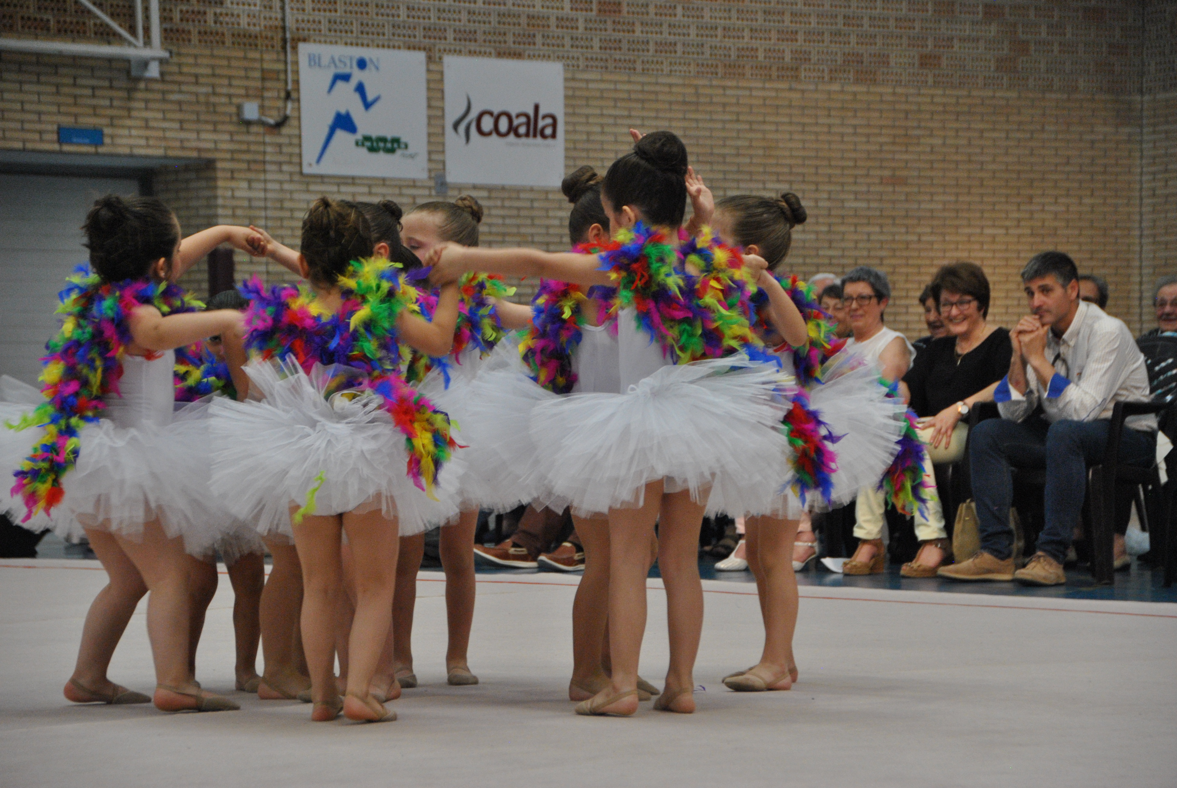 Exhibicion club ritmica Alfaro junio 18 510