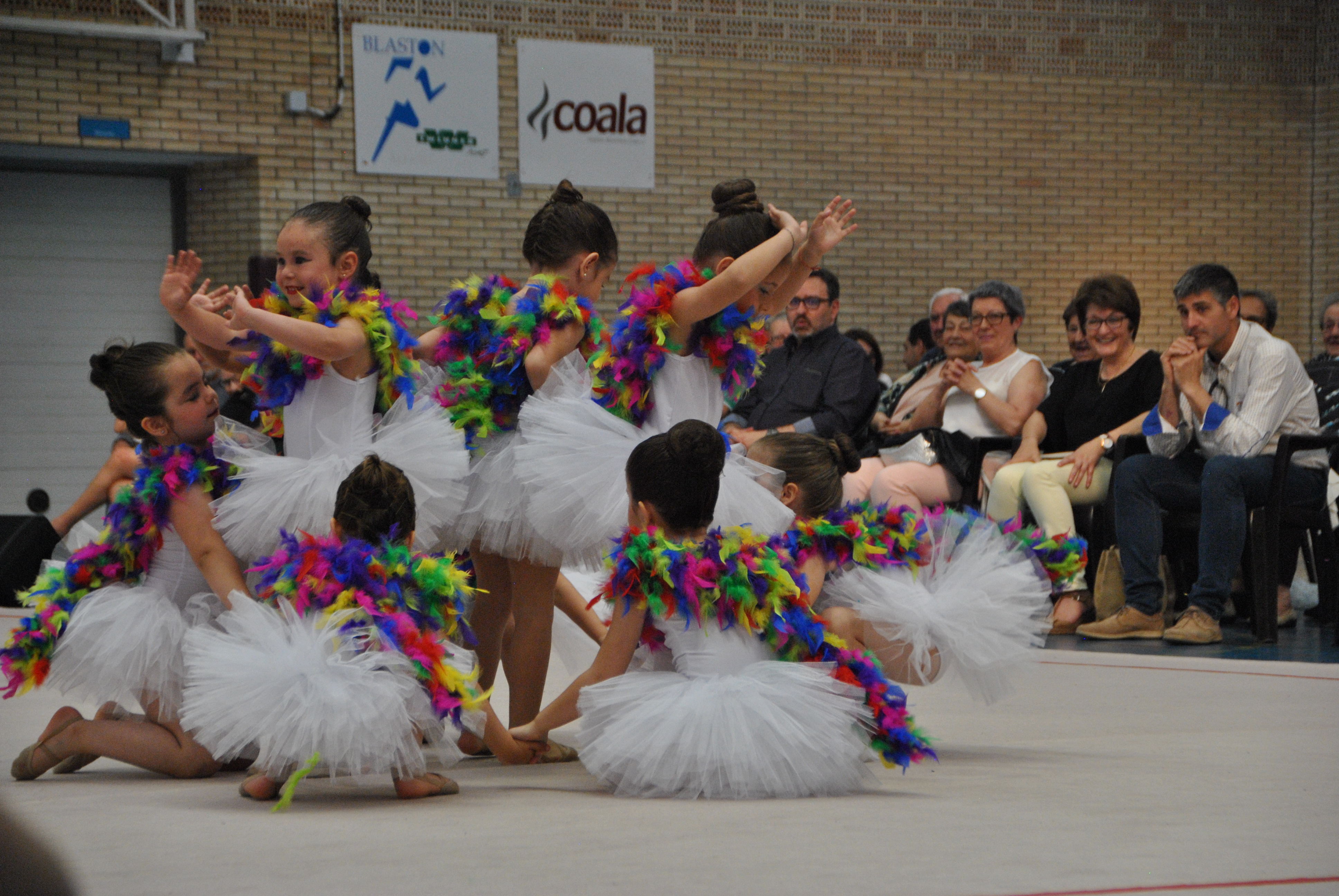 Exhibicion club ritmica Alfaro junio 18 511