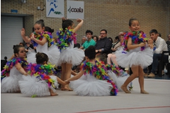 Exhibicion club ritmica Alfaro junio 18 512