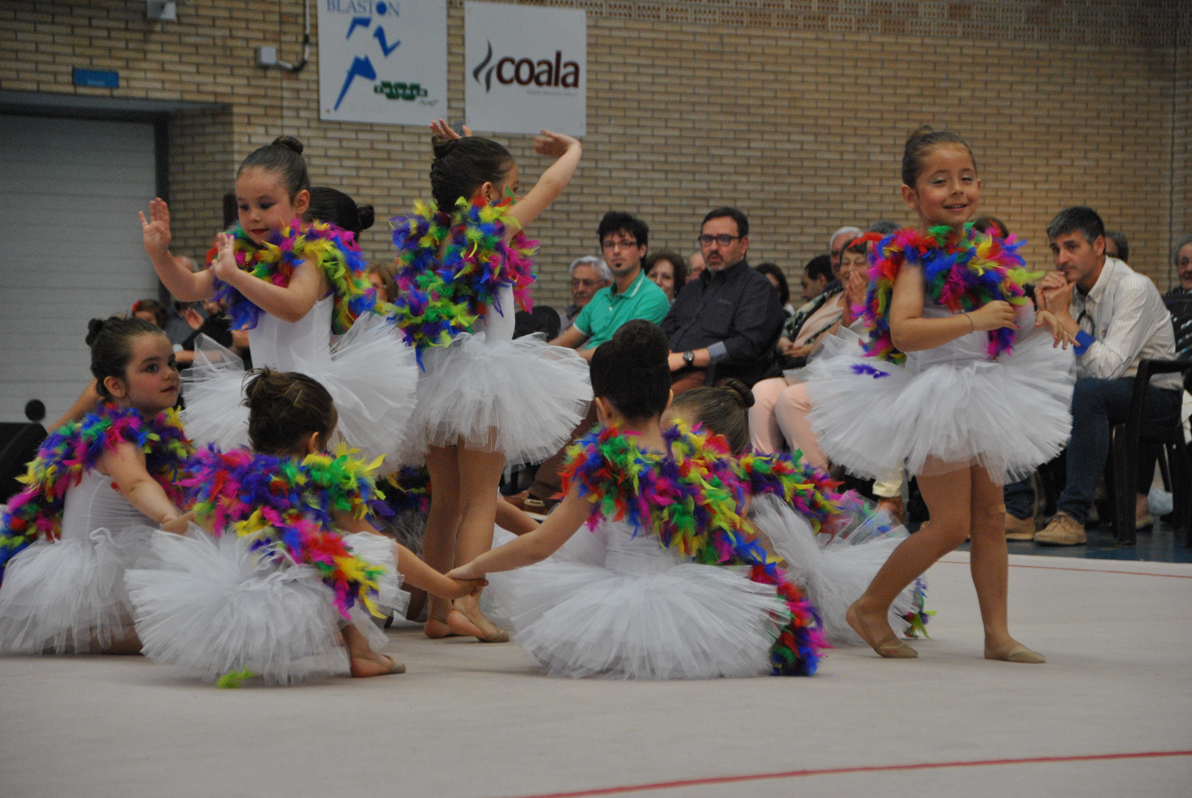 Exhibicion club ritmica Alfaro junio 18 512