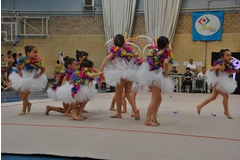 Exhibicion club ritmica Alfaro junio 18 513