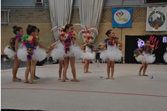 Exhibicion club ritmica Alfaro junio 18 514