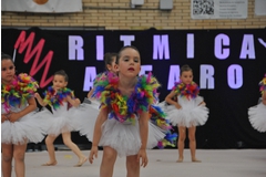 Exhibicion club ritmica Alfaro junio 18 516