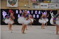 Exhibicion club ritmica Alfaro junio 18 517