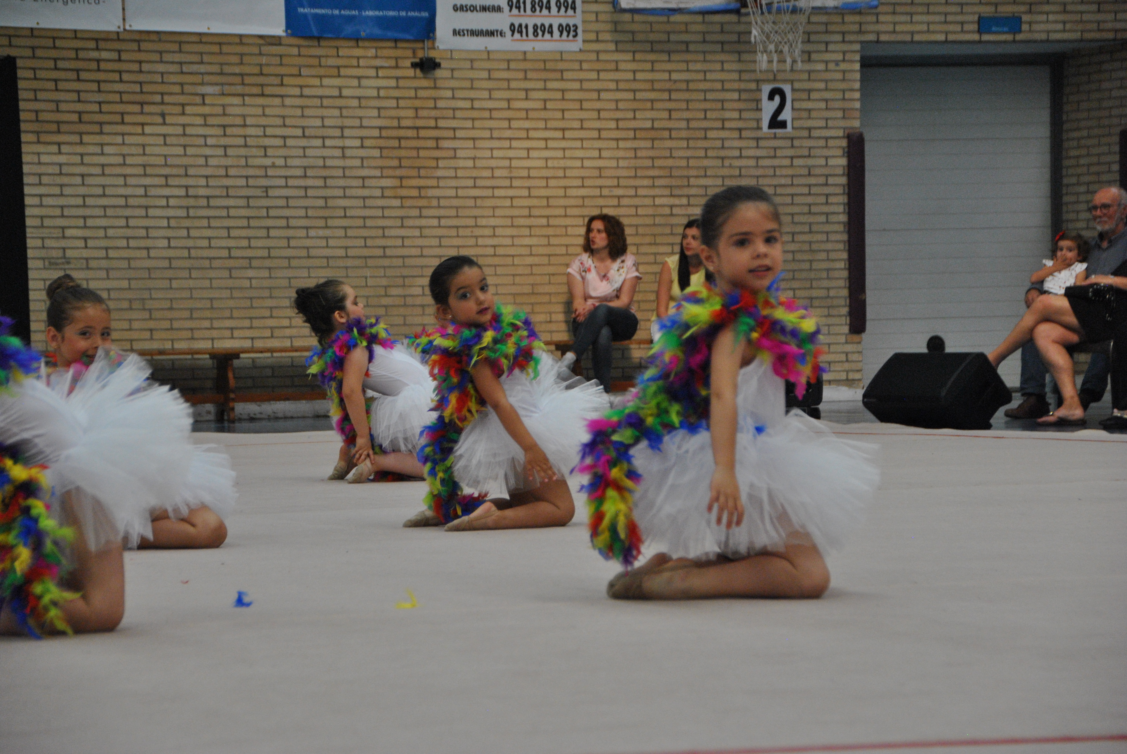 Exhibicion club ritmica Alfaro junio 18 520