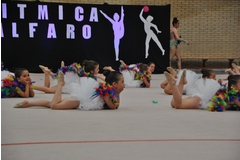 Exhibicion club ritmica Alfaro junio 18 521