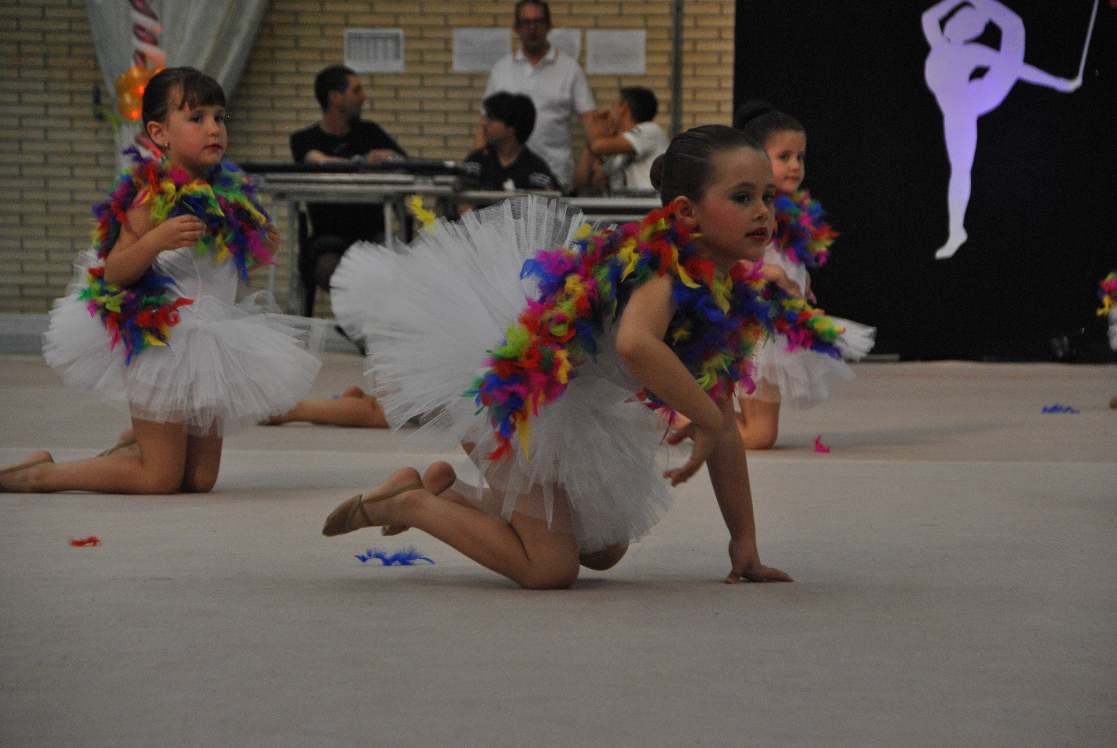 Exhibicion club ritmica Alfaro junio 18 522