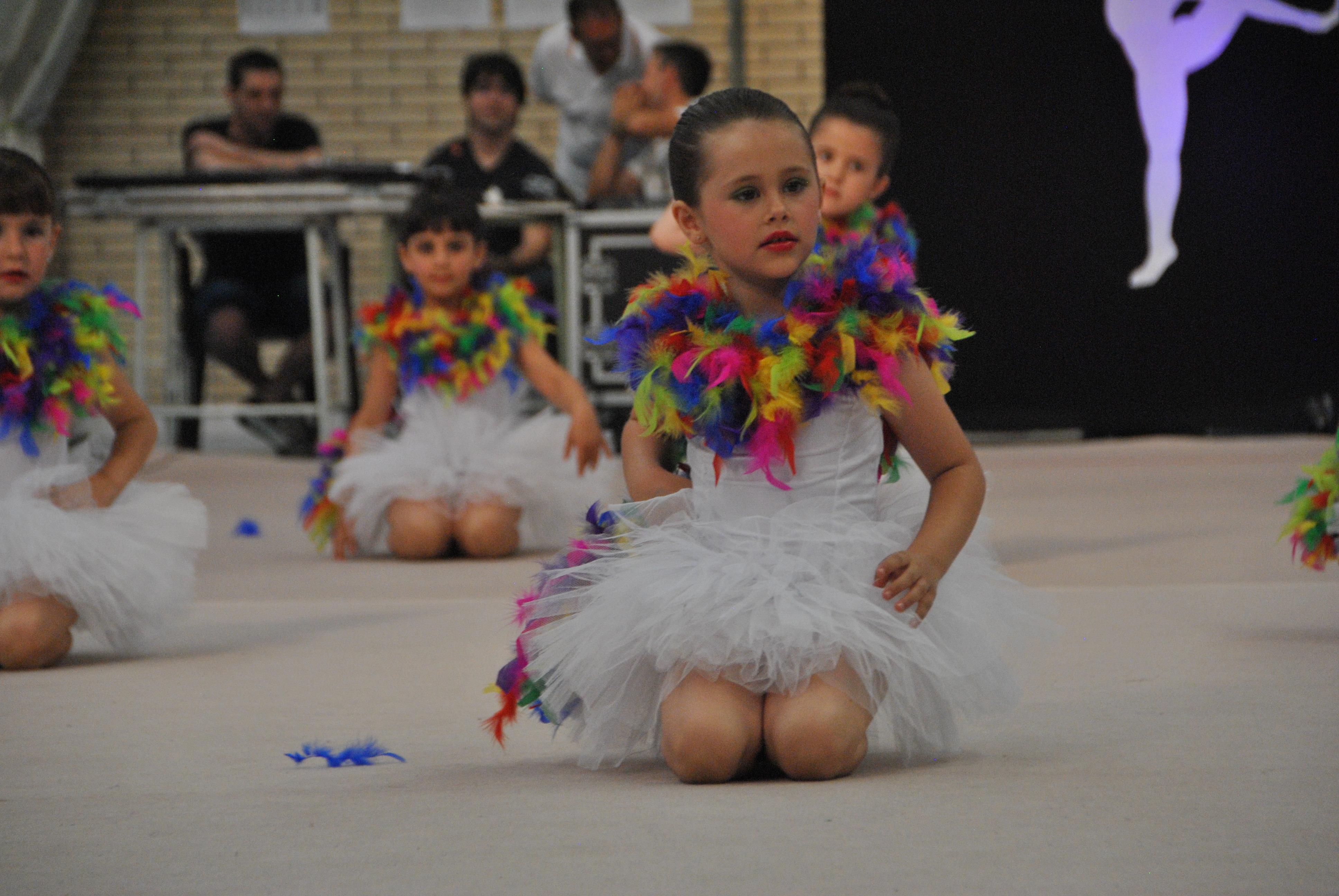 Exhibicion club ritmica Alfaro junio 18 524