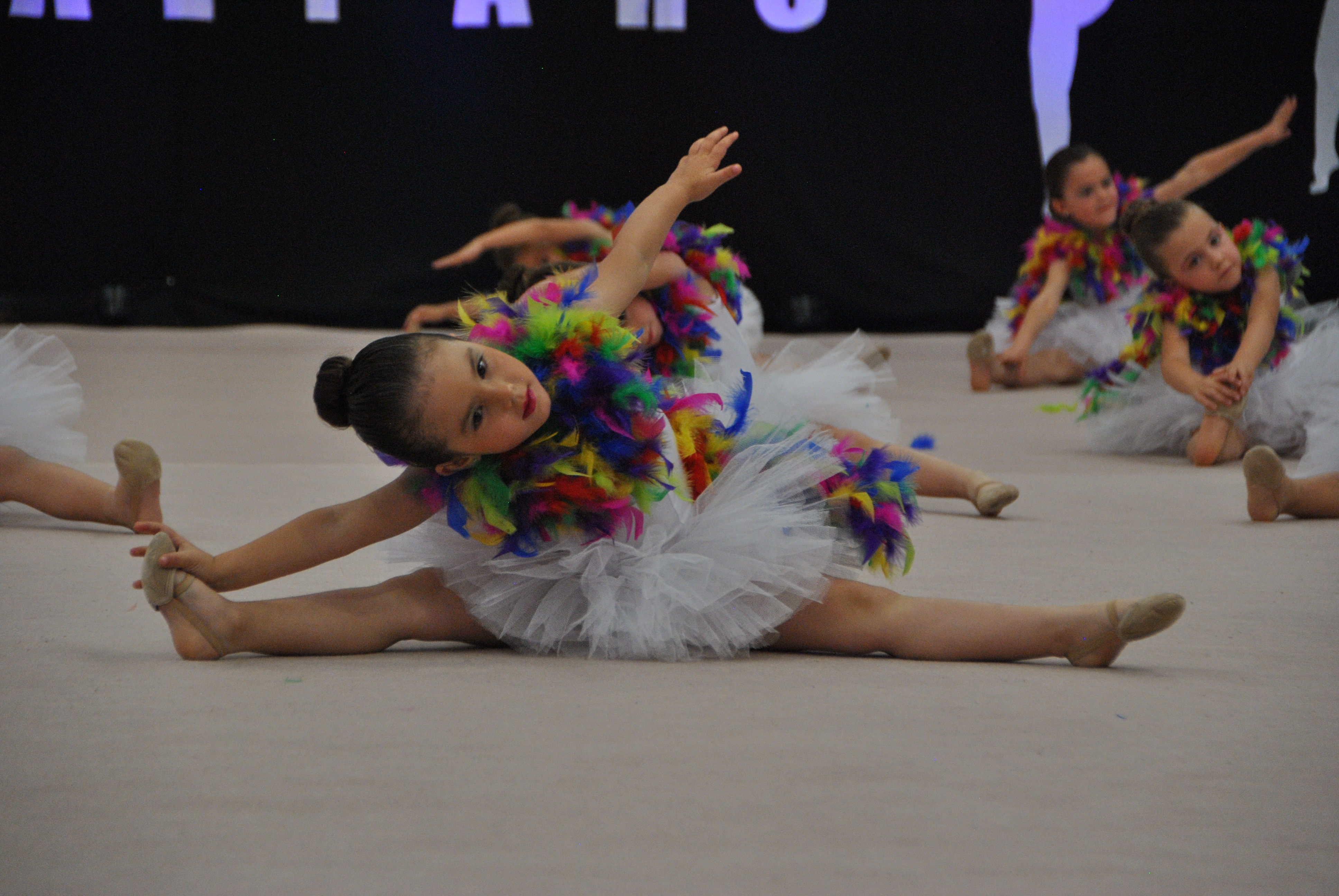 Exhibicion club ritmica Alfaro junio 18 527