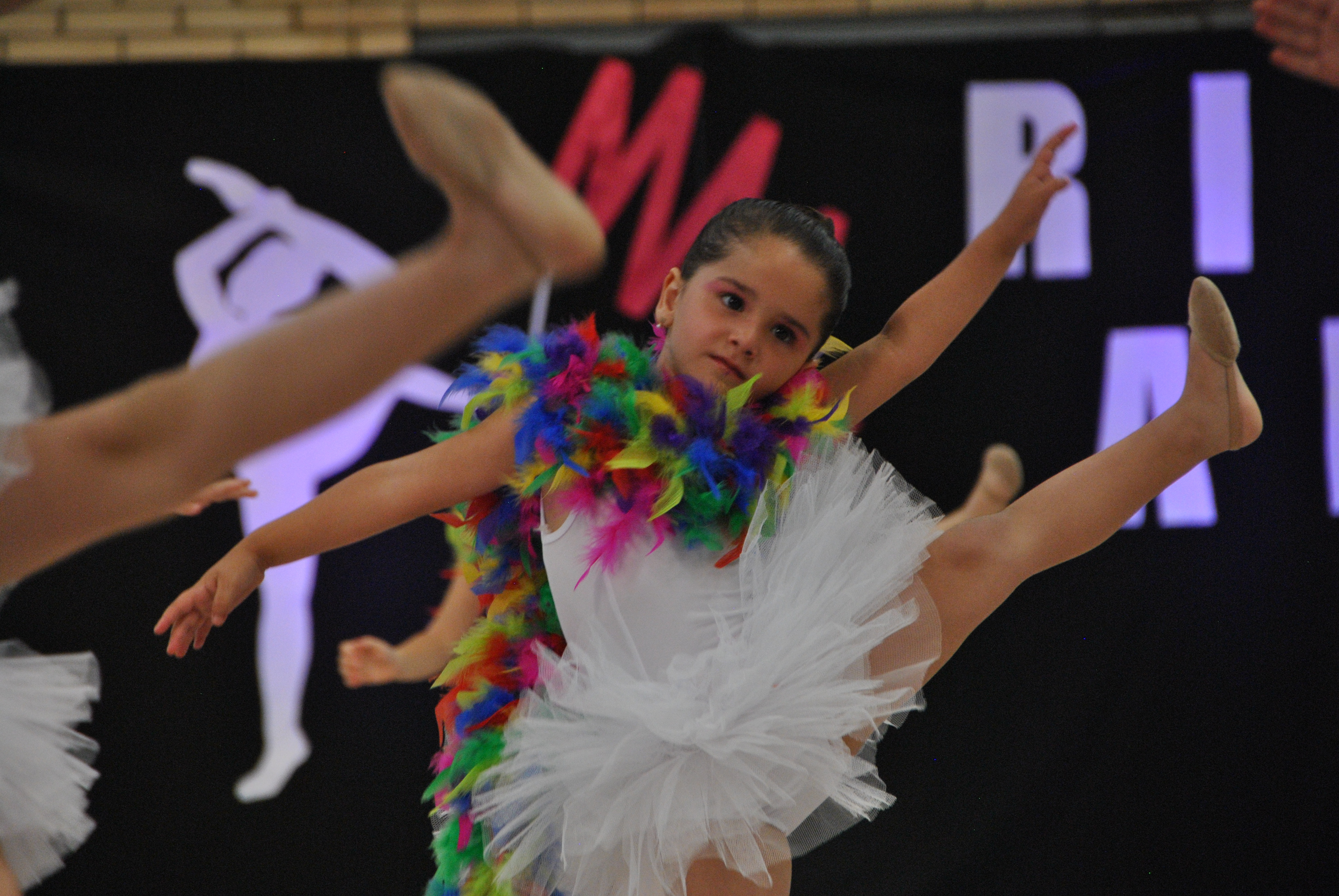 Exhibicion club ritmica Alfaro junio 18 532