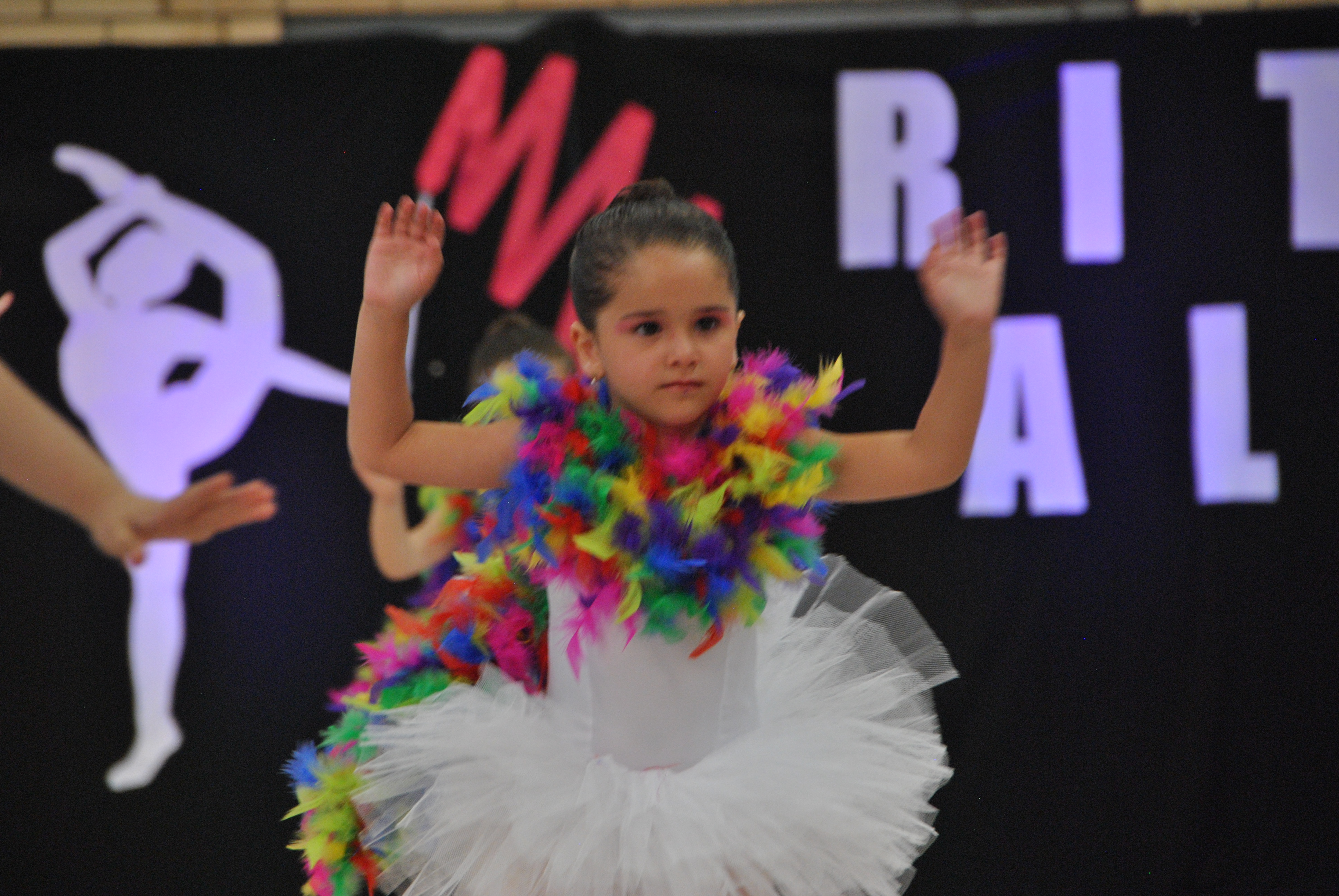 Exhibicion club ritmica Alfaro junio 18 533