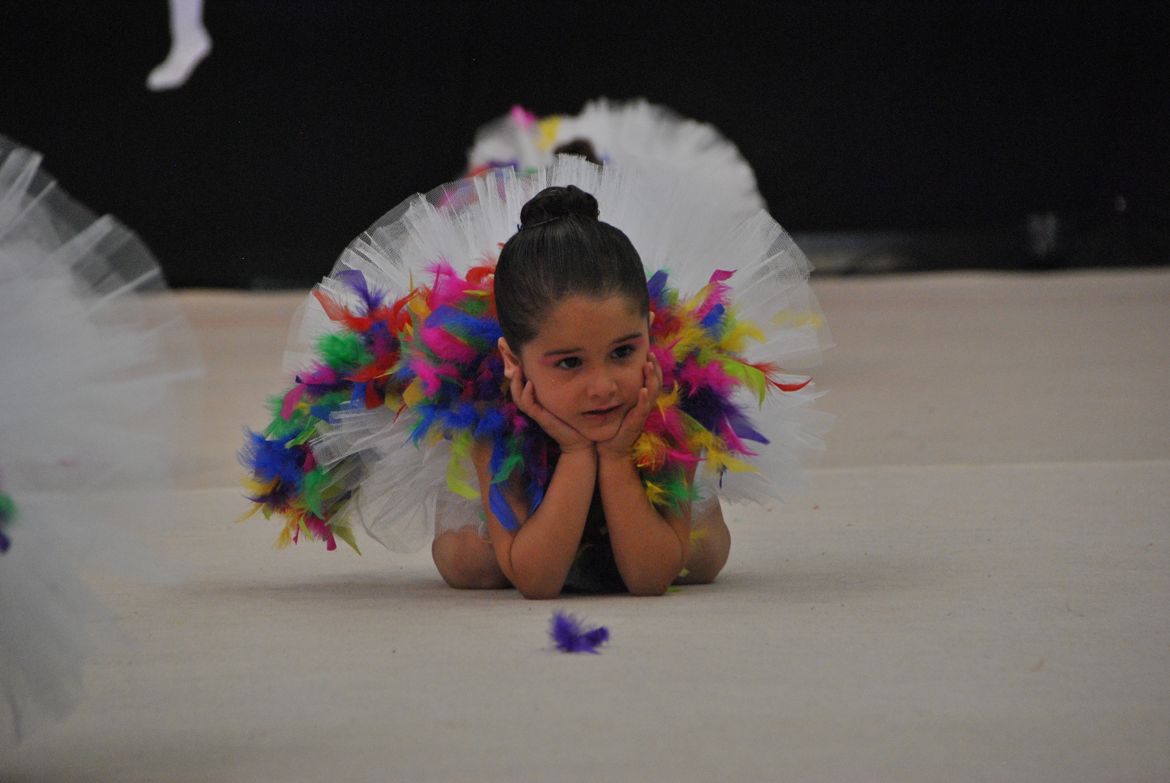 Exhibicion club ritmica Alfaro junio 18 534