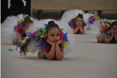 Exhibicion club ritmica Alfaro junio 18 536