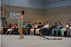 Exhibicion club ritmica Alfaro junio 18 542