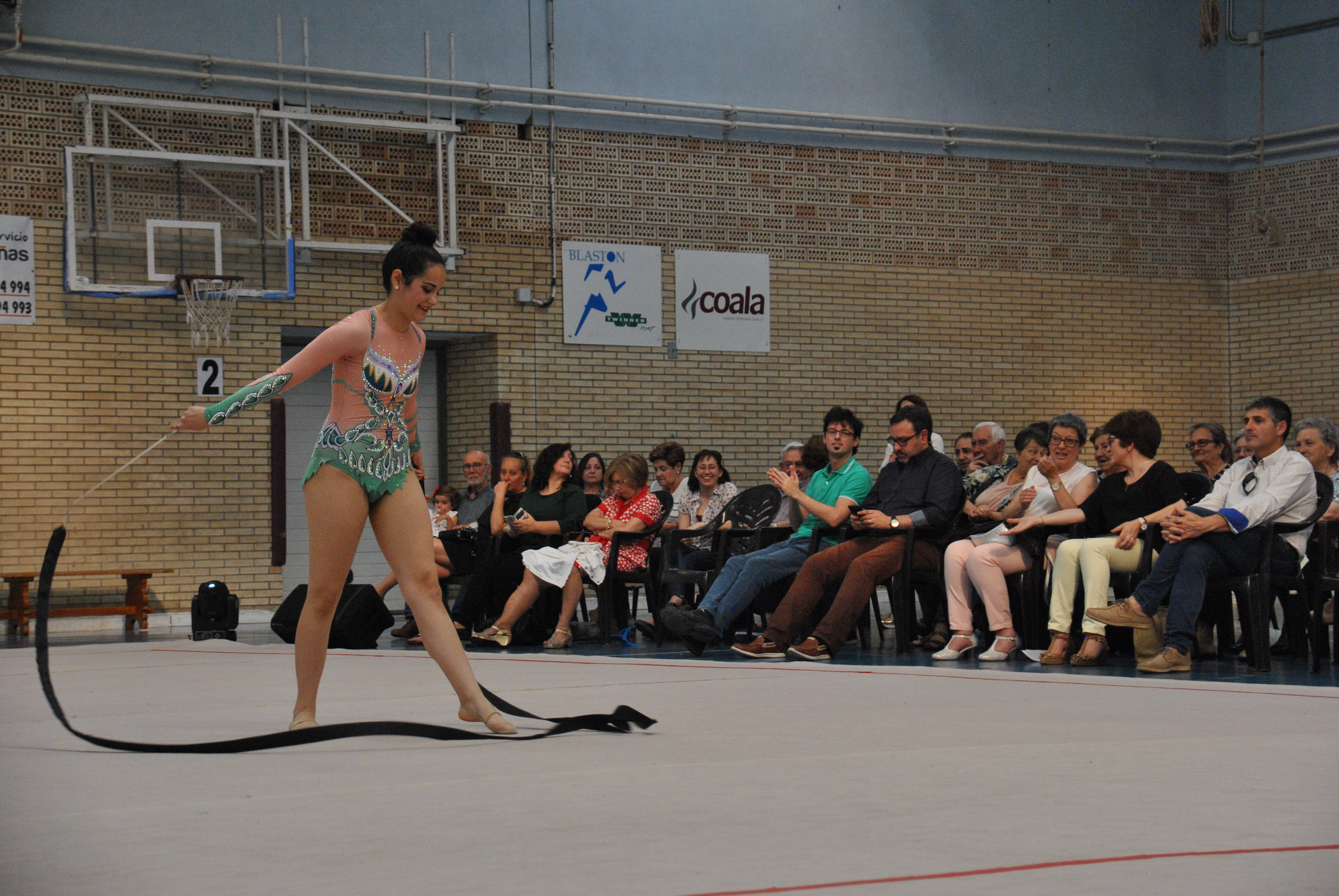 Exhibicion club ritmica Alfaro junio 18 543