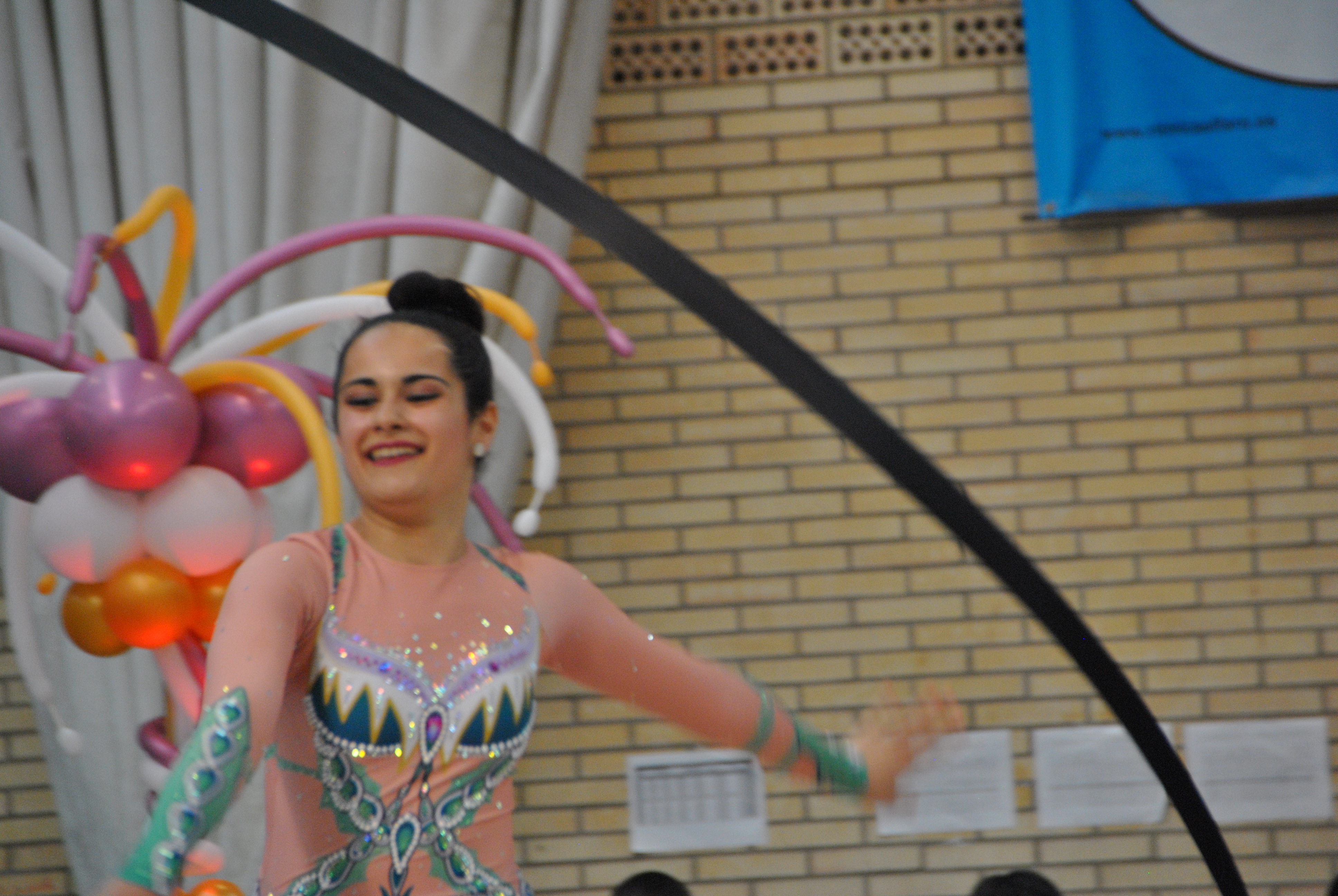 Exhibicion club ritmica Alfaro junio 18 558