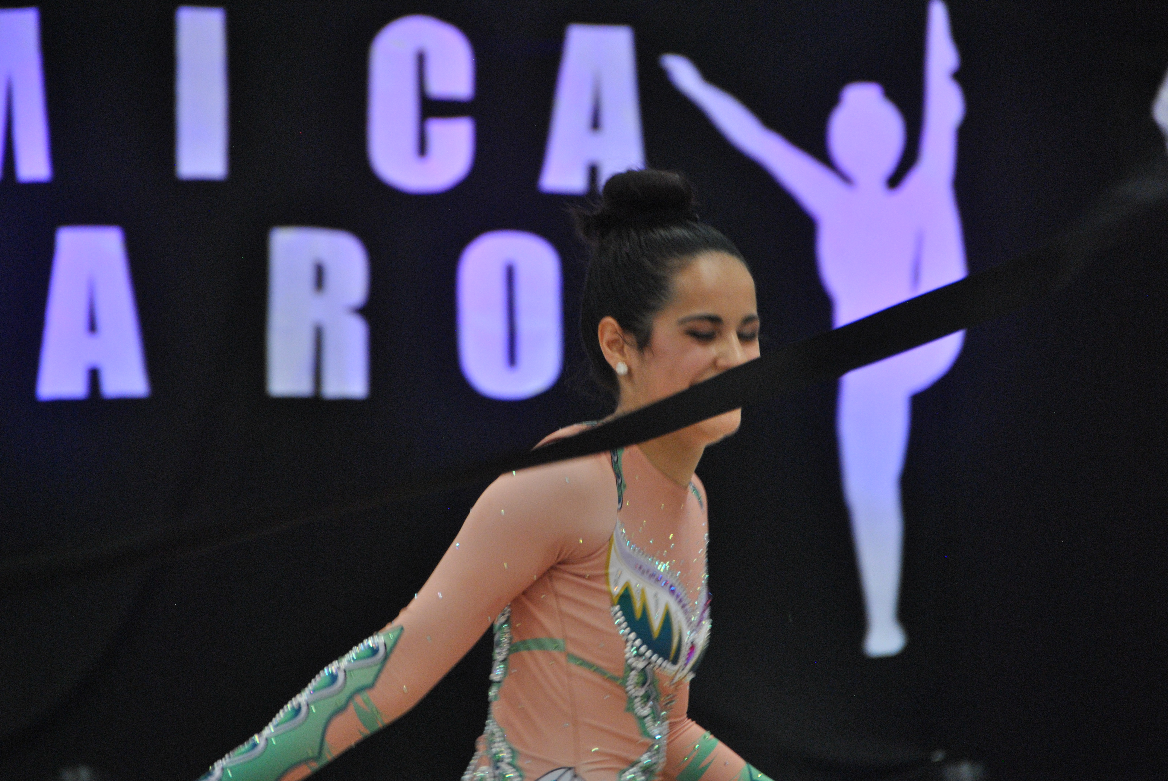 Exhibicion club ritmica Alfaro junio 18 564