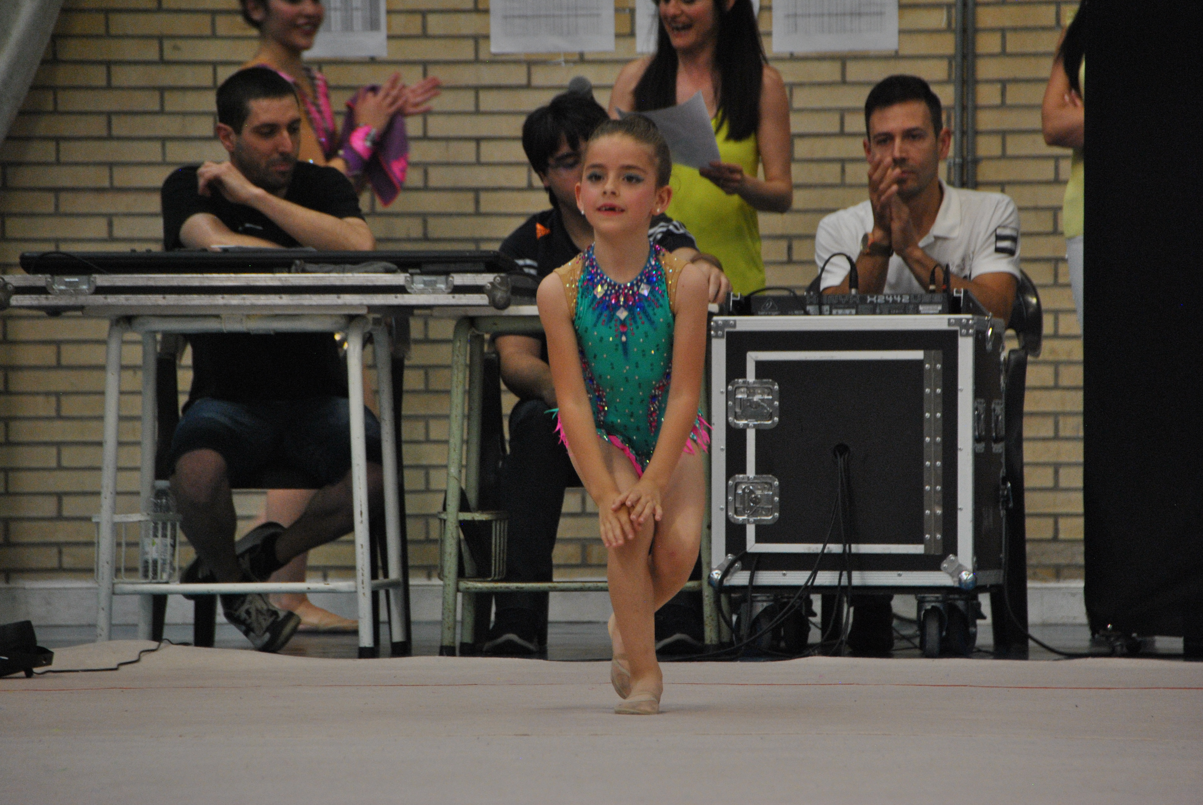 Exhibicion club ritmica Alfaro junio 18 586