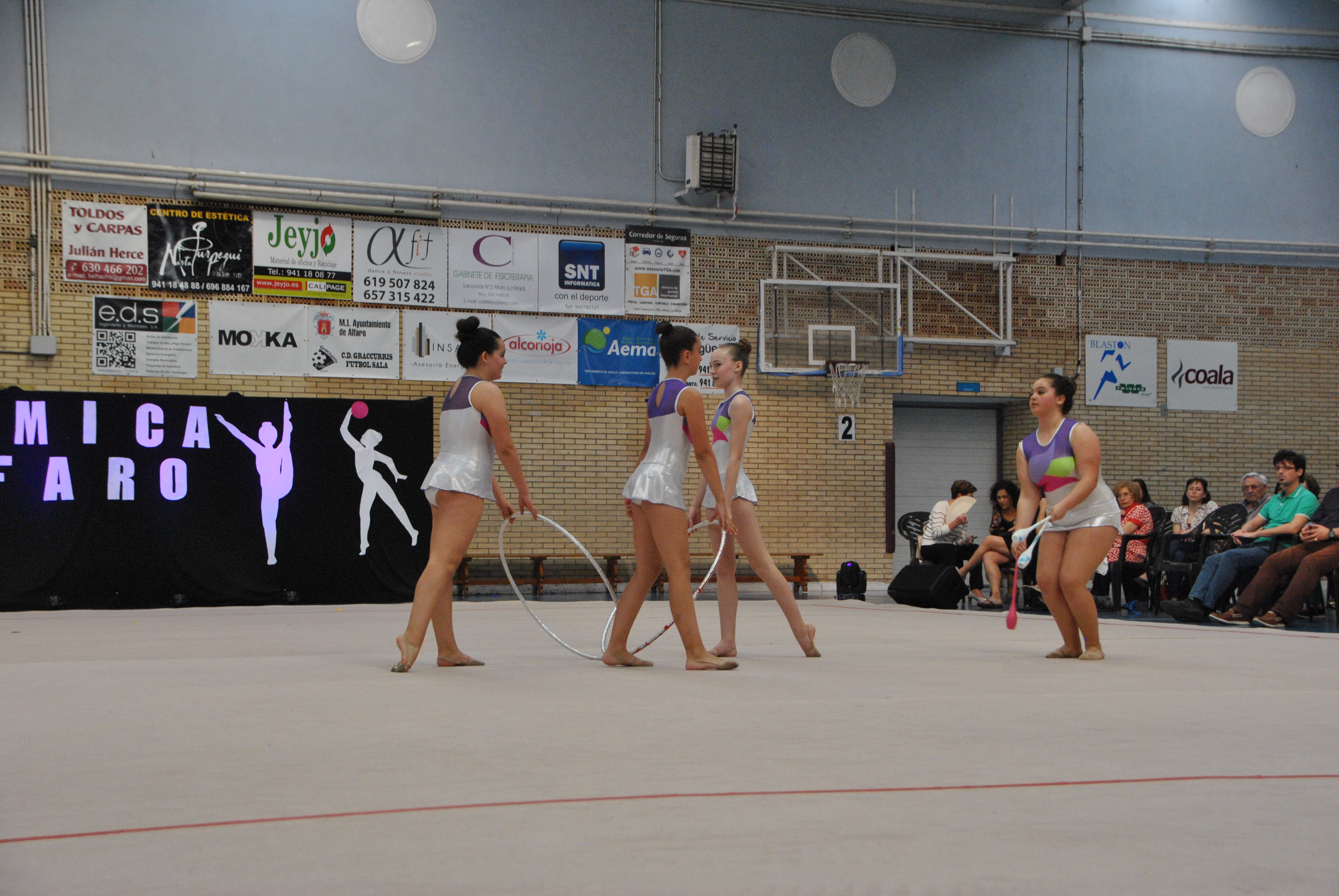 Exhibicion club ritmica Alfaro junio 18 614