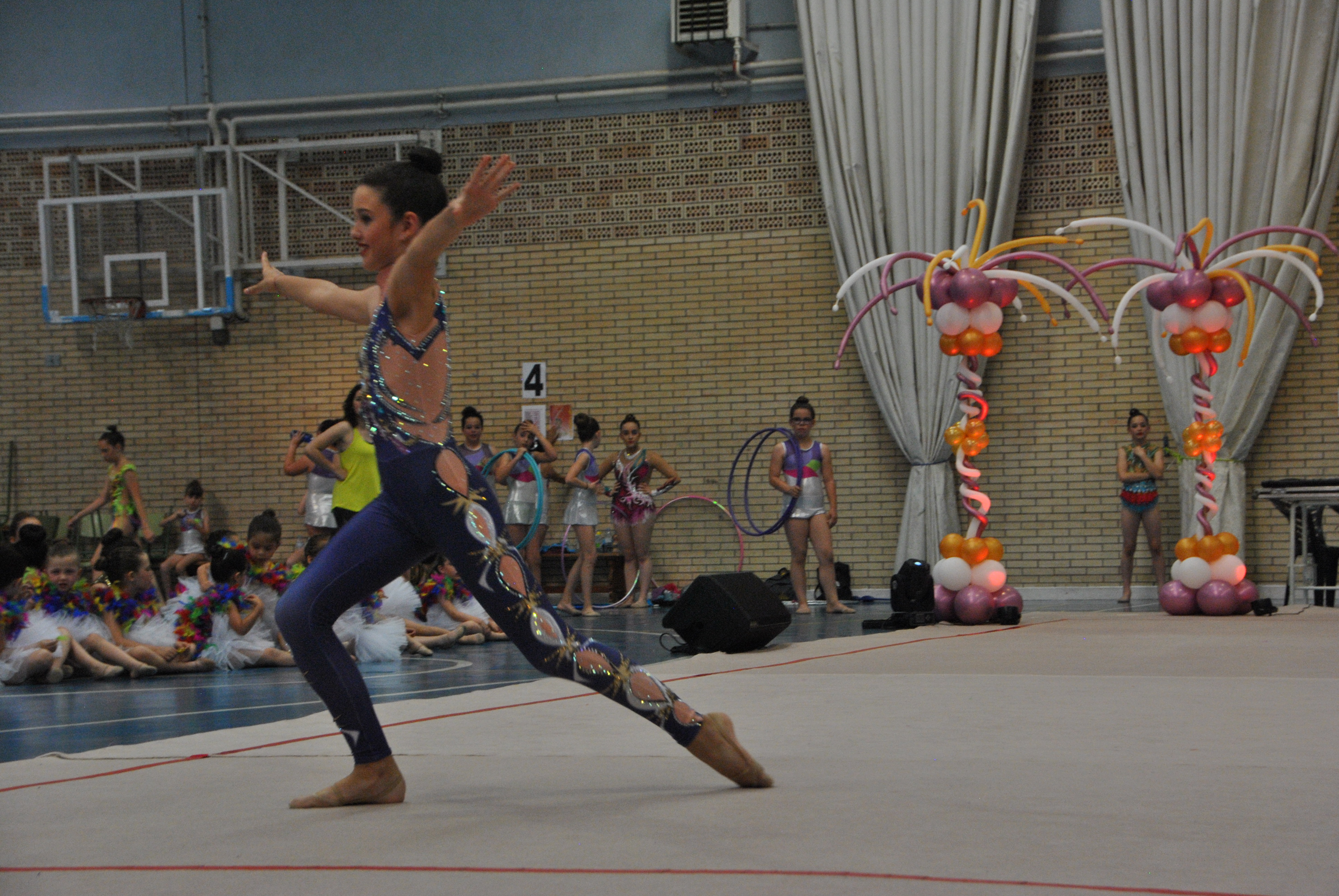 Exhibicion club ritmica Alfaro junio 18 629