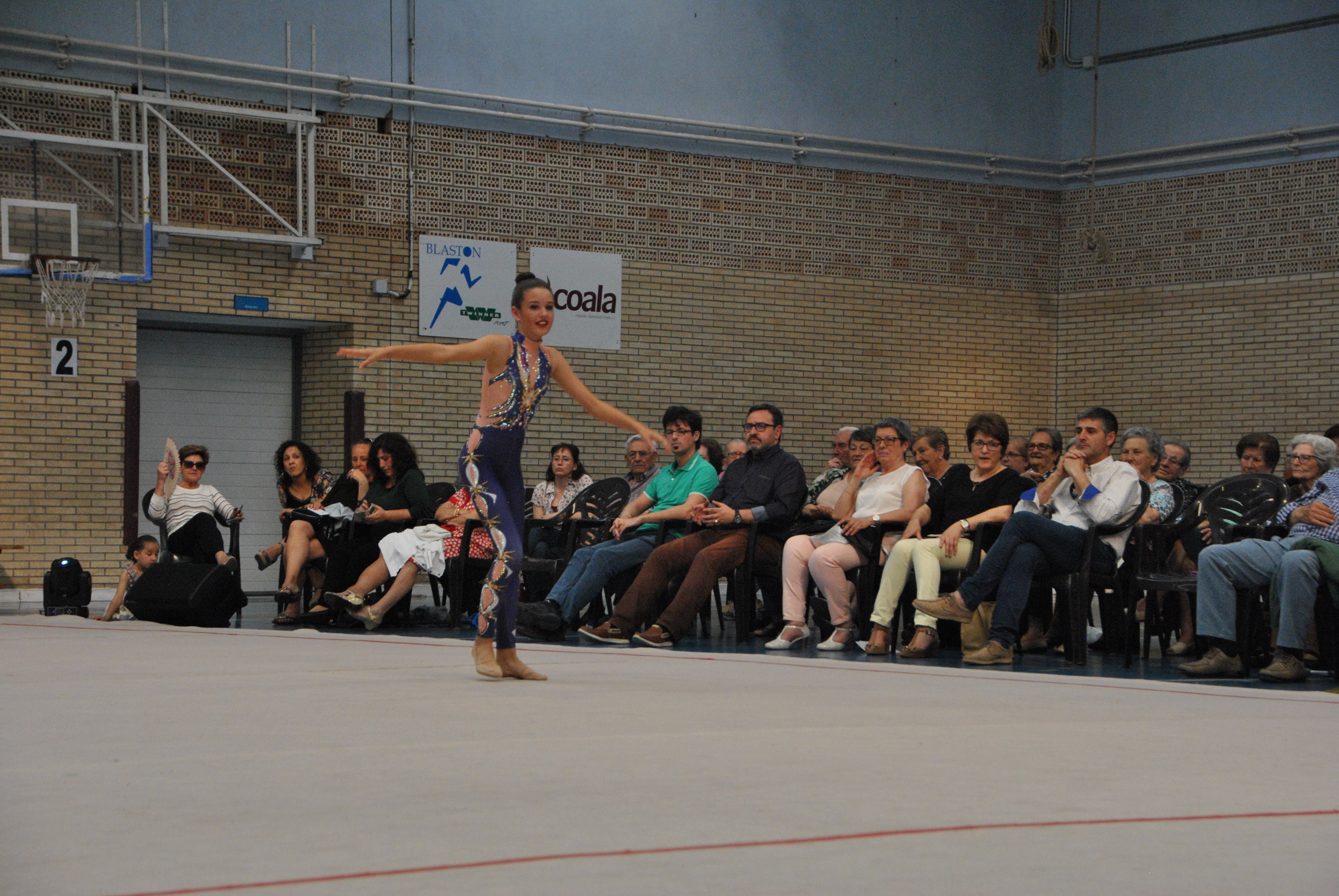 Exhibicion club ritmica Alfaro junio 18 633