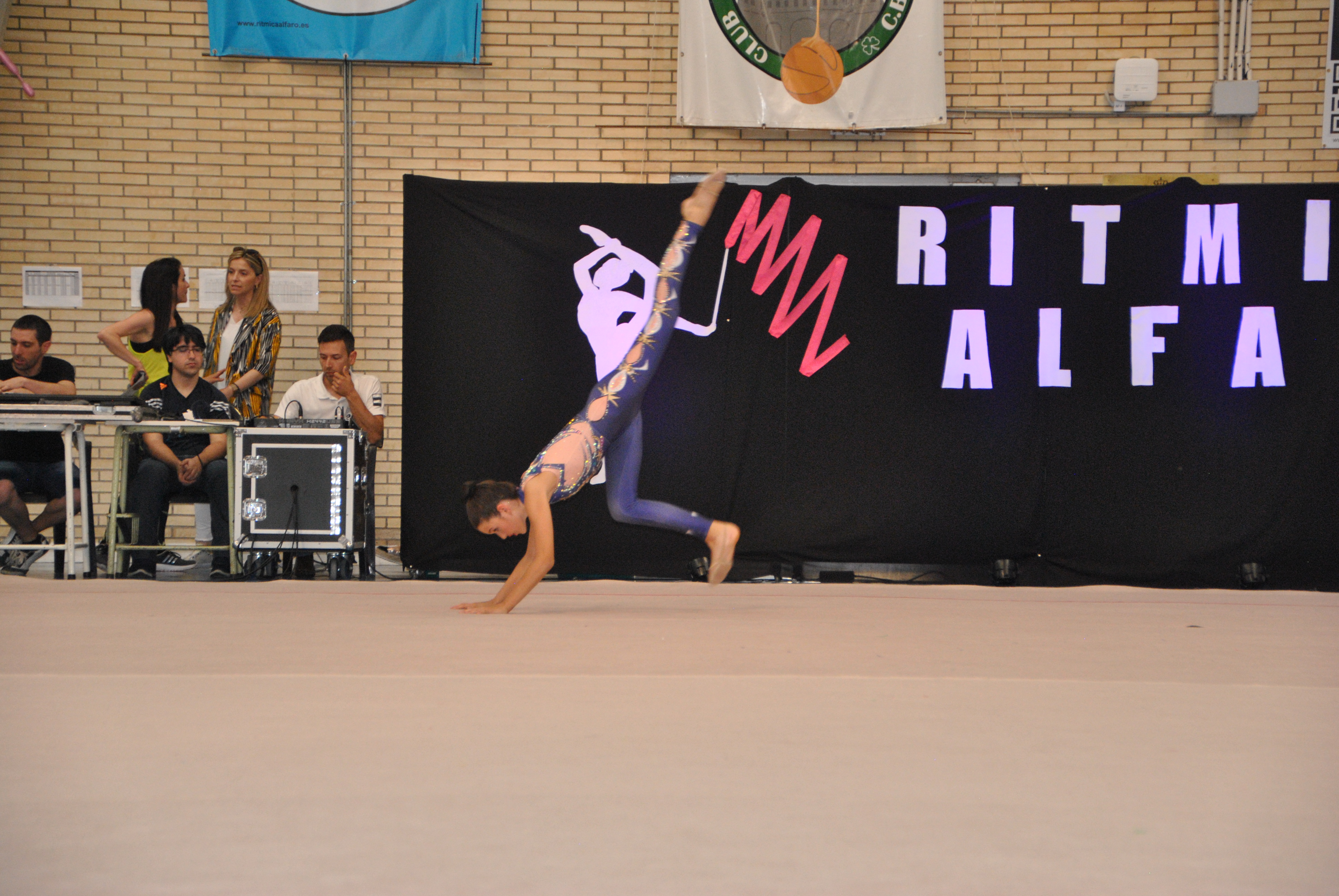 Exhibicion club ritmica Alfaro junio 18 637