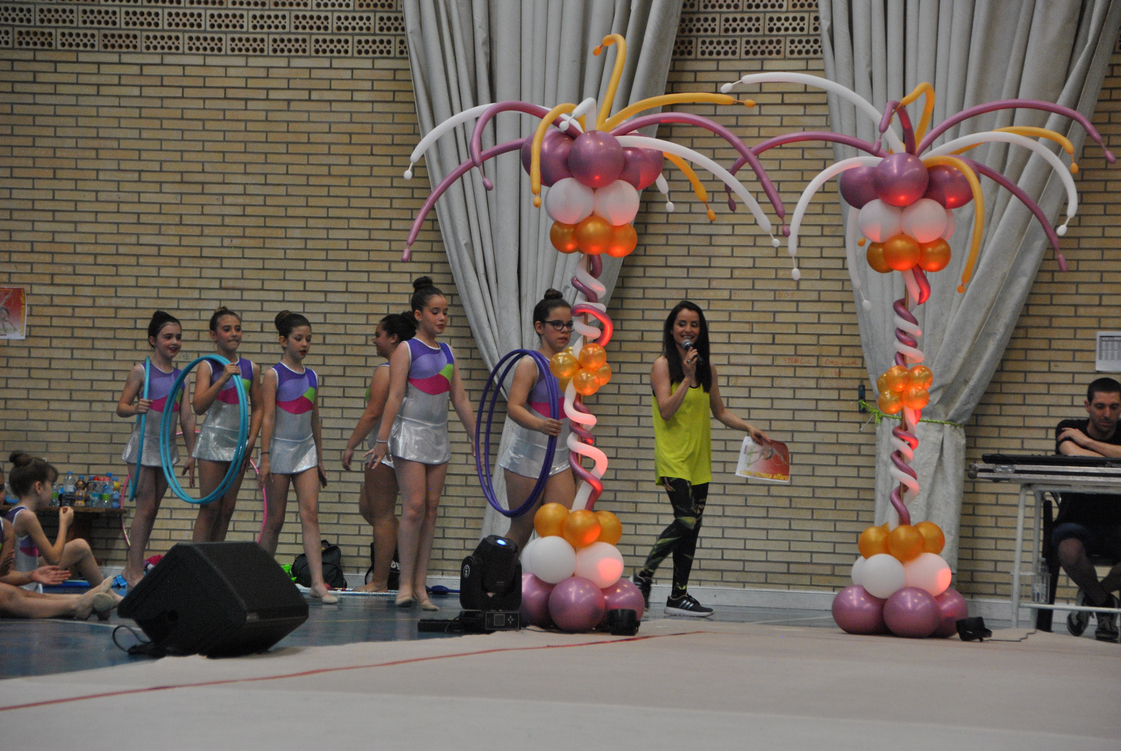 Exhibicion club ritmica Alfaro junio 18 657