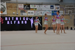 Exhibicion club ritmica Alfaro junio 18 678