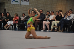 Exhibicion club ritmica Alfaro junio 18 701