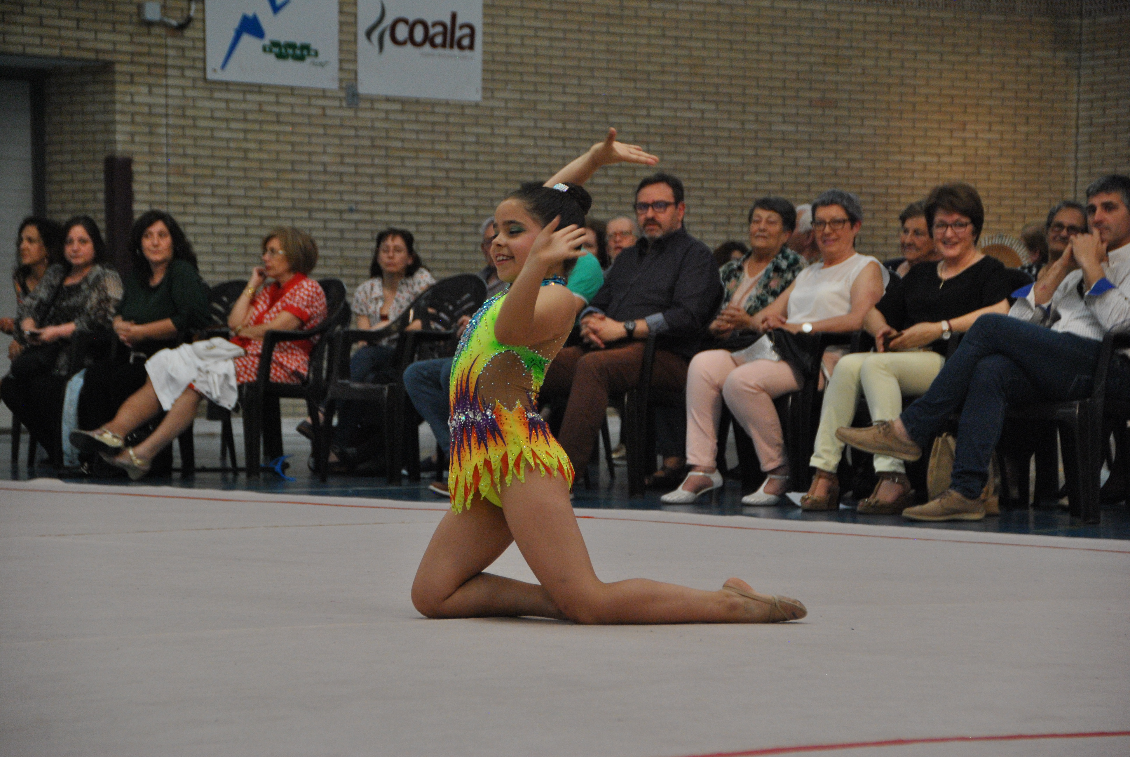 Exhibicion club ritmica Alfaro junio 18 702