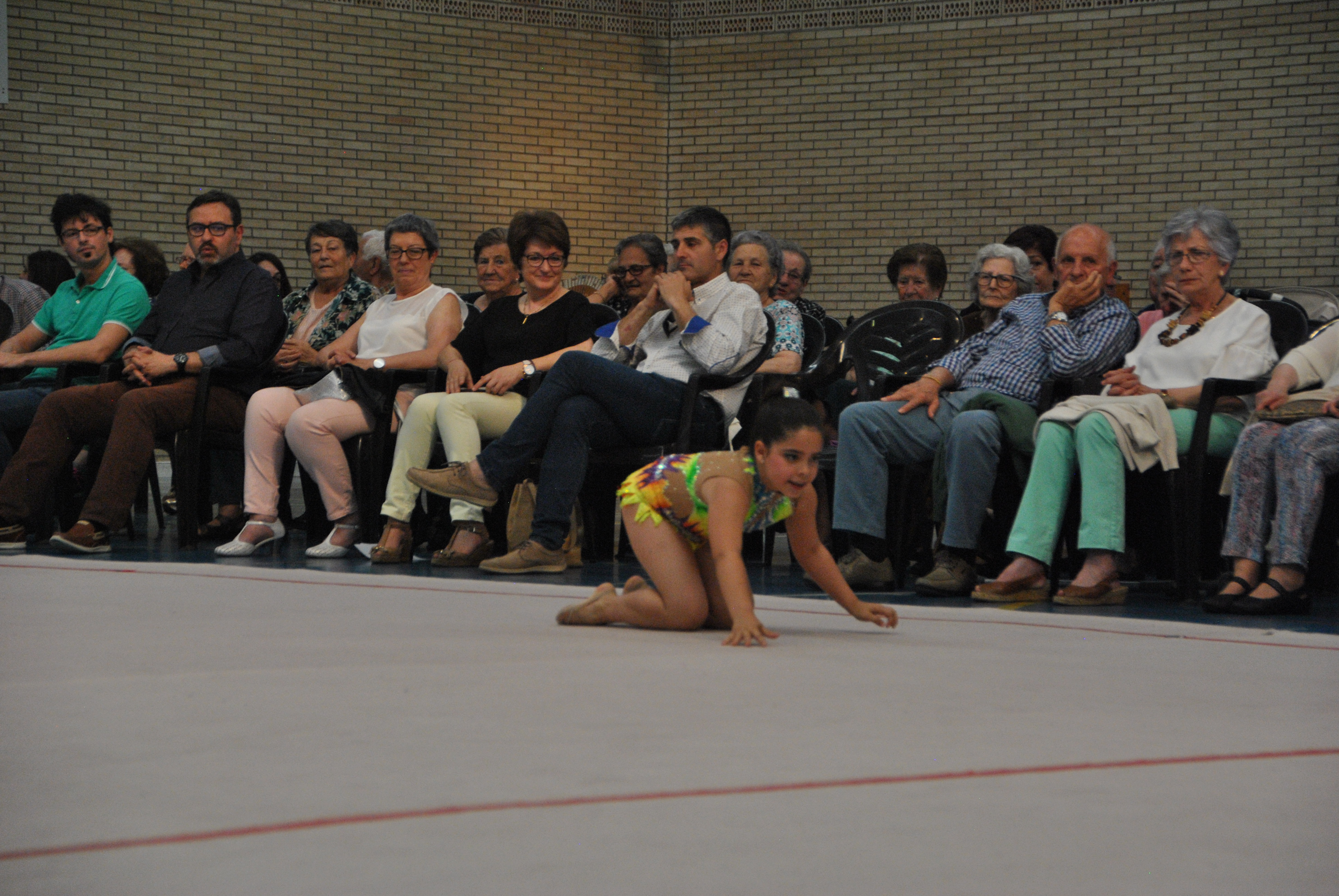 Exhibicion club ritmica Alfaro junio 18 703