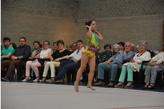 Exhibicion club ritmica Alfaro junio 18 705