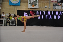 Exhibicion club ritmica Alfaro junio 18 710