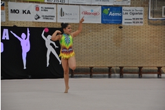 Exhibicion club ritmica Alfaro junio 18 715