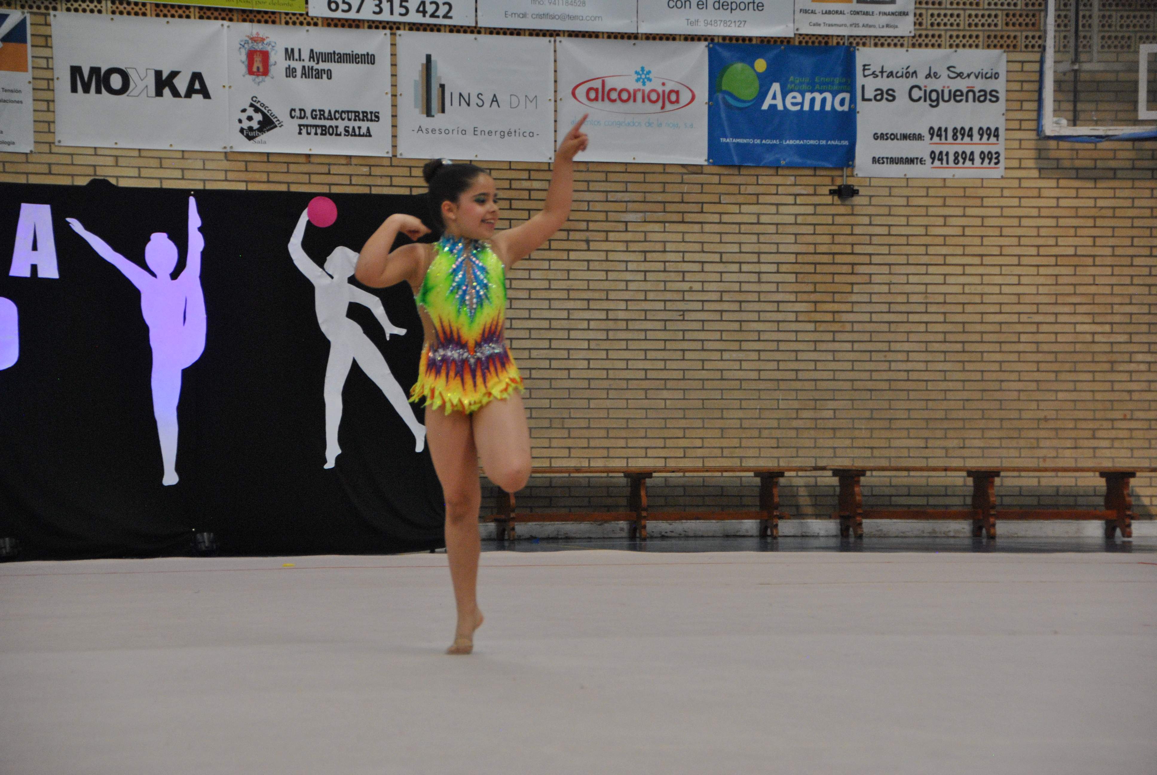 Exhibicion club ritmica Alfaro junio 18 715