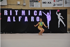 Exhibicion club ritmica Alfaro junio 18 721