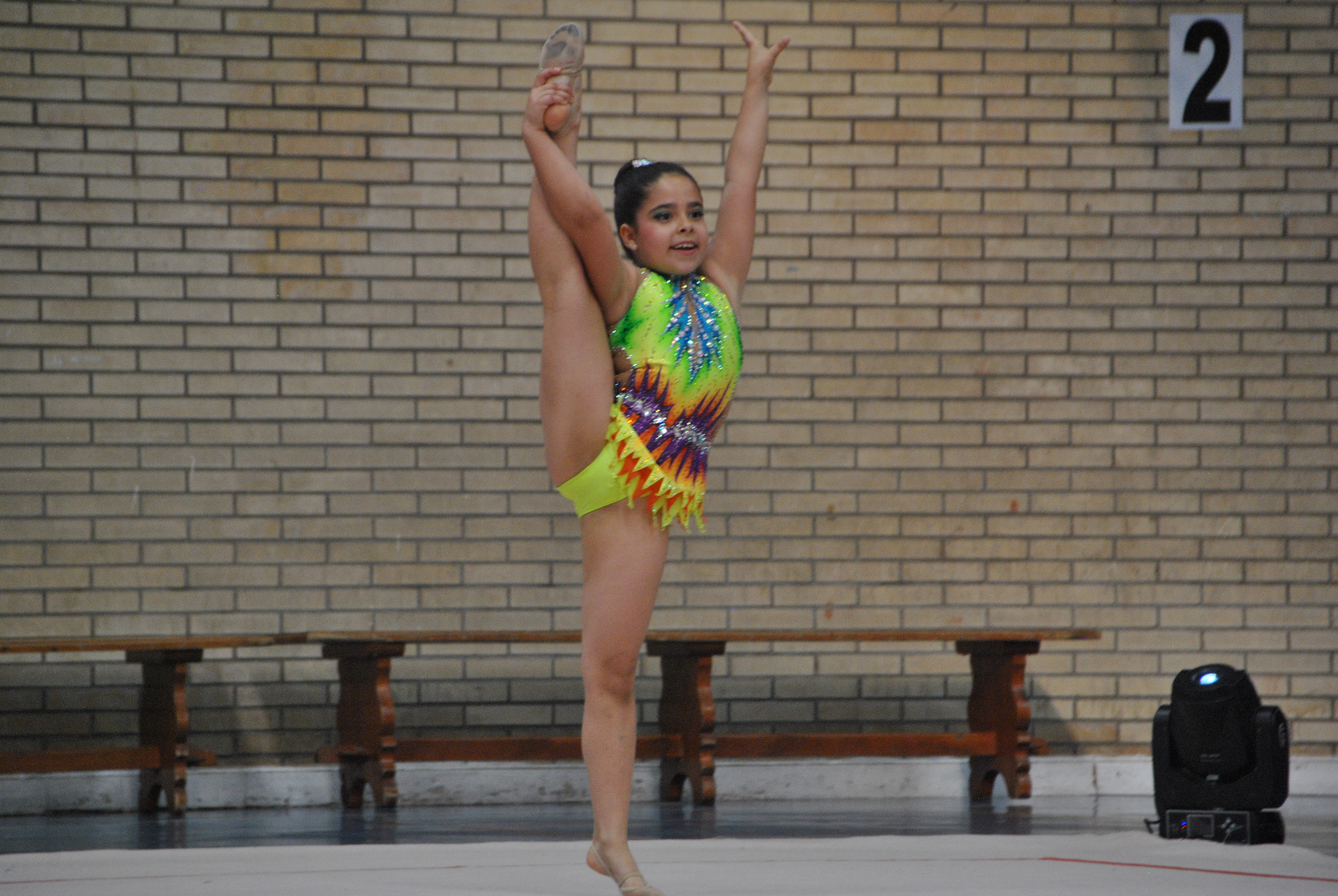 Exhibicion club ritmica Alfaro junio 18 722