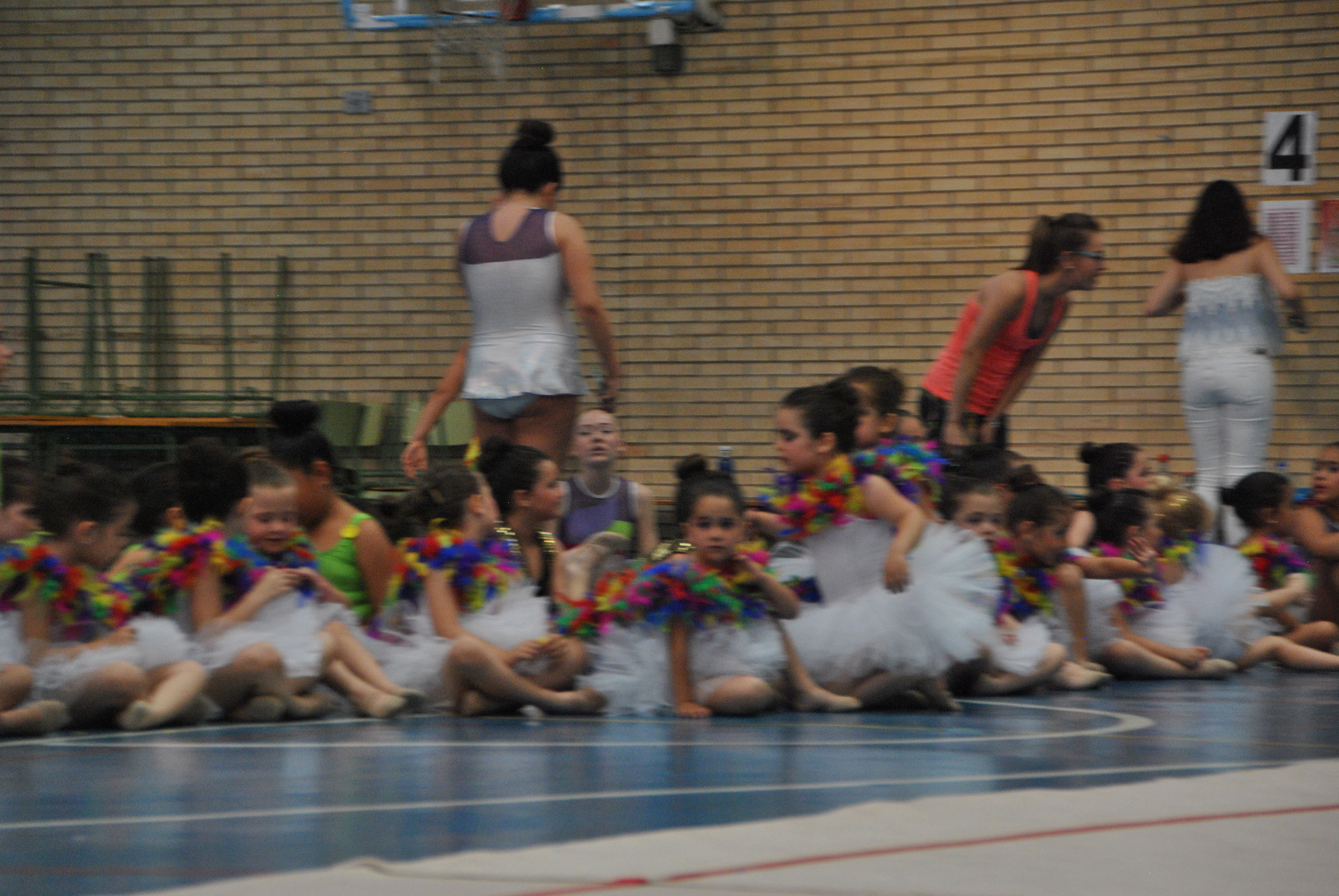 Exhibicion club ritmica Alfaro junio 18 728