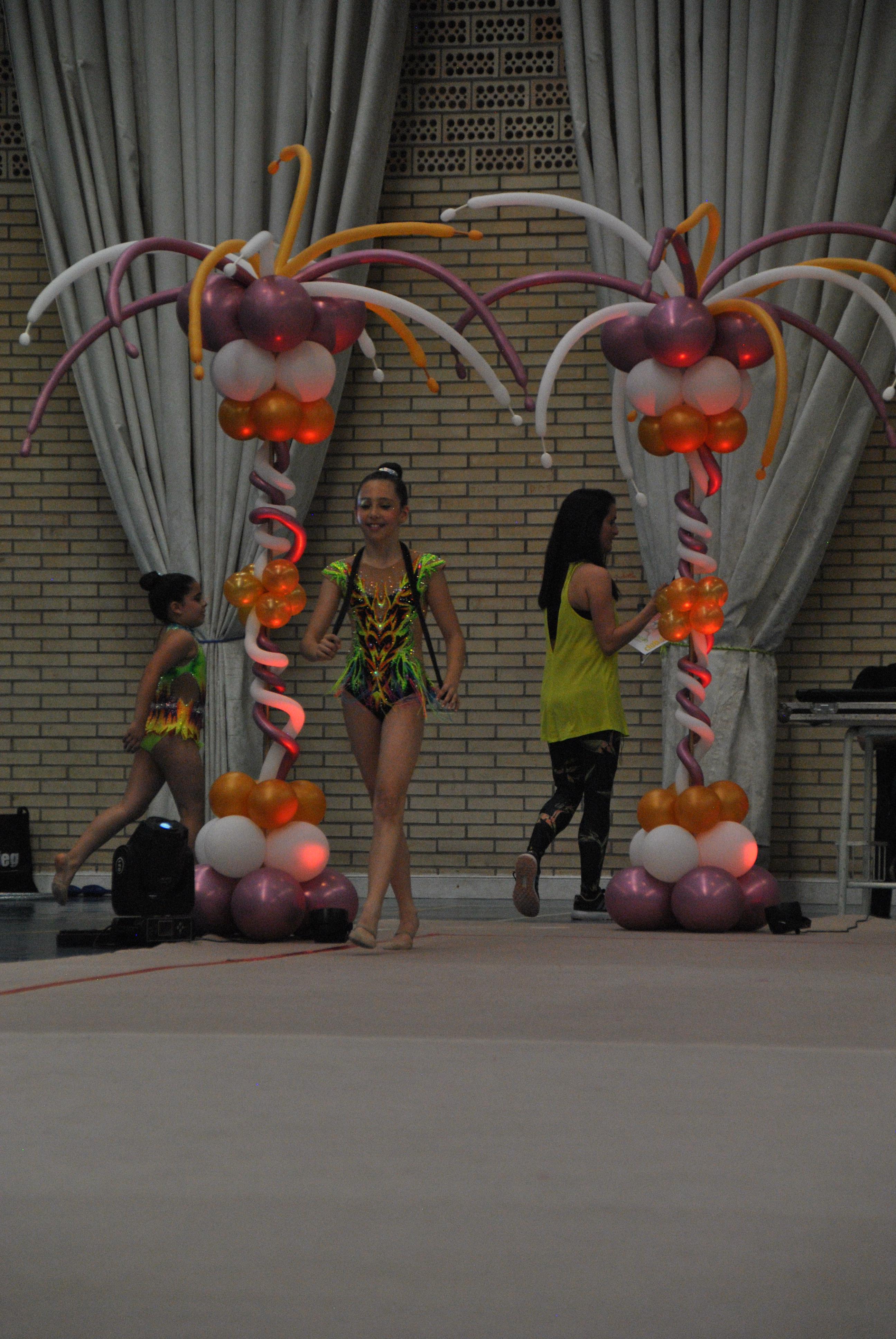 Exhibicion club ritmica Alfaro junio 18 732