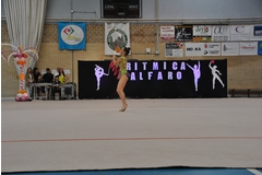 Exhibicion club ritmica Alfaro junio 18 740