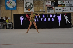 Exhibicion club ritmica Alfaro junio 18 741