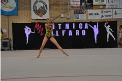 Exhibicion club ritmica Alfaro junio 18 742