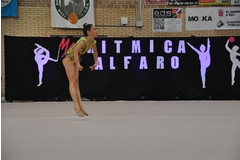 Exhibicion club ritmica Alfaro junio 18 743