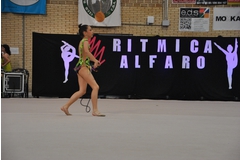 Exhibicion club ritmica Alfaro junio 18 744