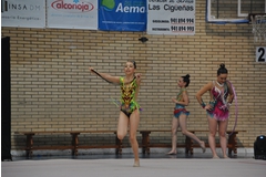 Exhibicion club ritmica Alfaro junio 18 753